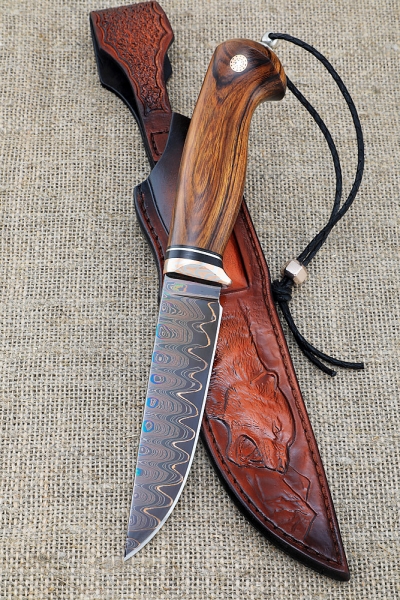 Damascus laminated Leopard knife with bluing, iron wood, mokume-gane