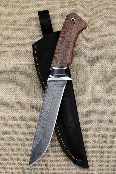 Knife Boar Damascus handle Karelian birch brown black hornbeam