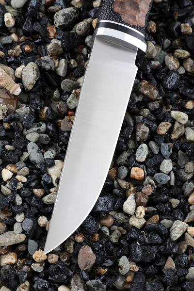 Knife Bars steel ELMAX - satin handle Karelian birch (Coutellia)
